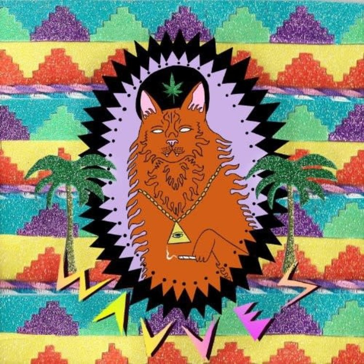 Fat Possum Records Wavves - King of the Beach LP