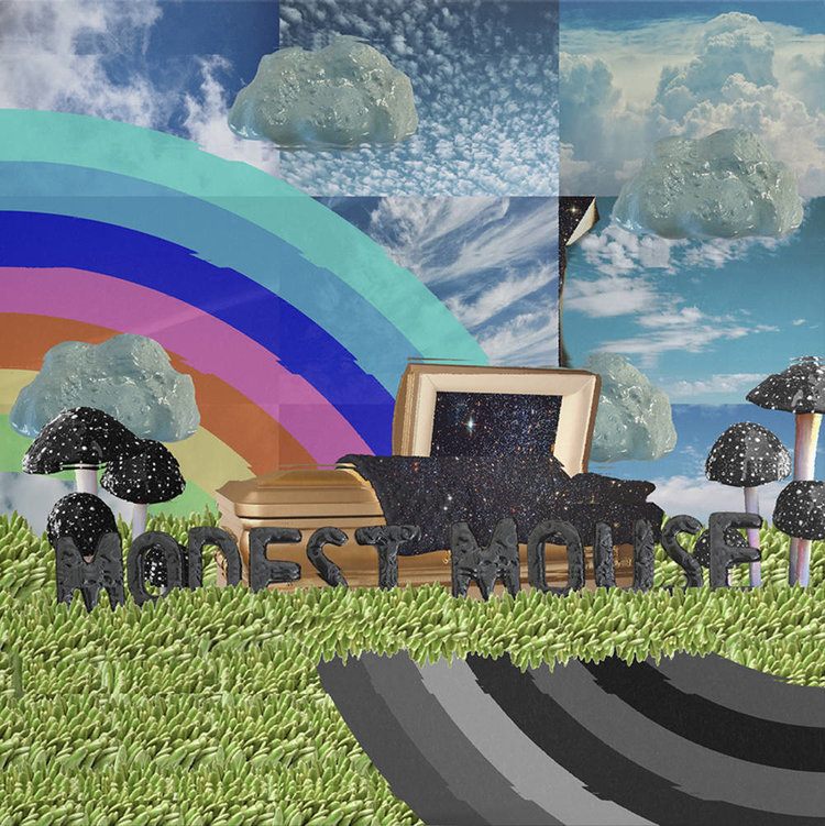 Epic Modest Mouse - The Golden Casket  2LP (150g)