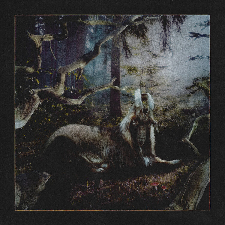 Warner Earl Sweatshirt - Feet of Clay LP