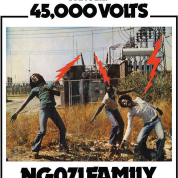 Now Again Ngozi Family - 45,000 Volts LP