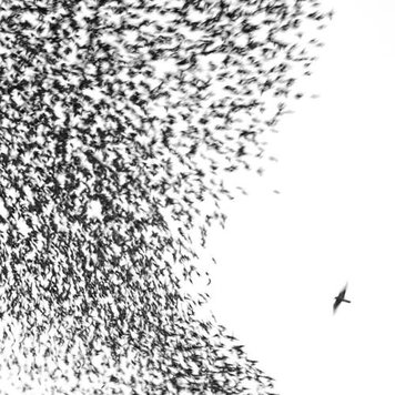 Nonesuch Wilco - Sky Blue Sky 2LP
