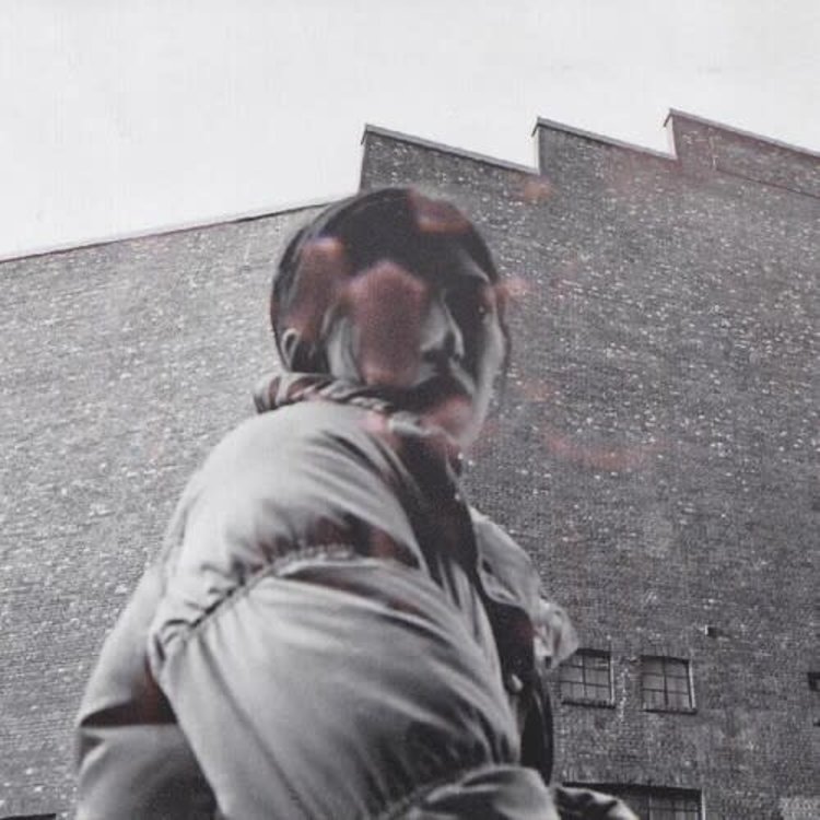 Harding, Aldous - Warm Chris LP