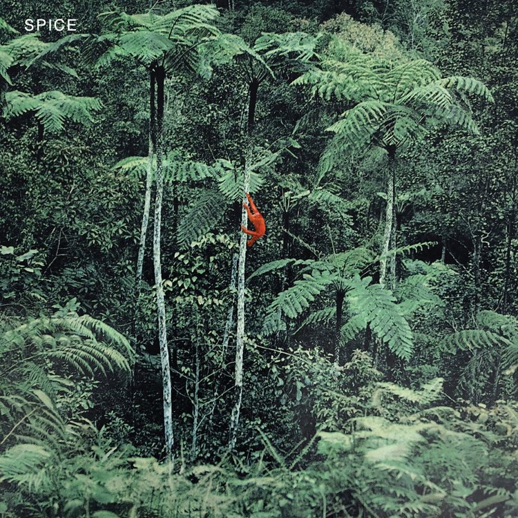 Dais Spice - (self-titled) LP