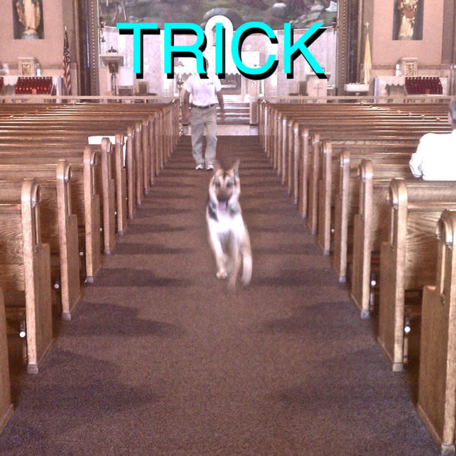 Sandy) Alex G - Trick LP - Wax Trax Records