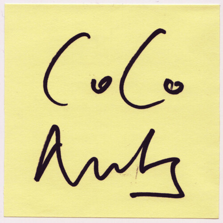 No Quarter Coconuts, The  - 2  LP