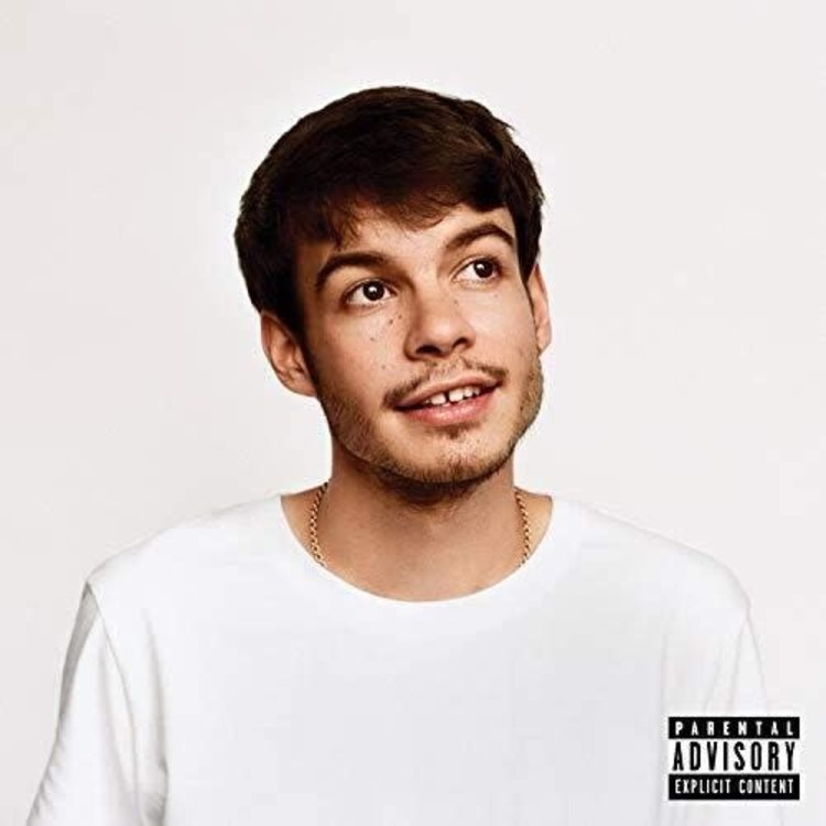 RCA Rex Orange County - Pony LP (140g)
