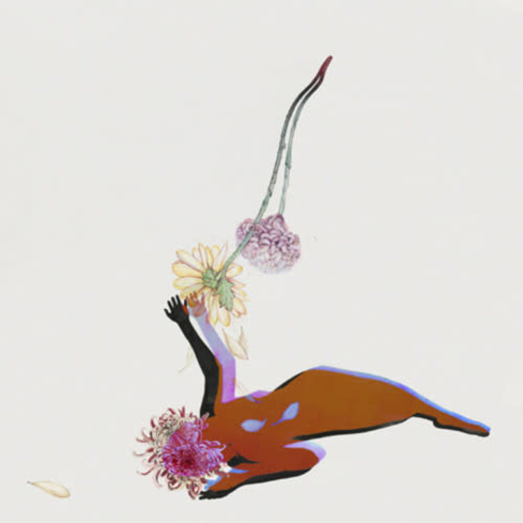 4AD Future Islands - The Far Field LP