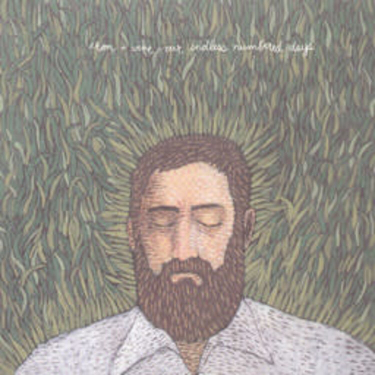 Sub Pop Iron & Wine - Our Endless Numbered Days LP