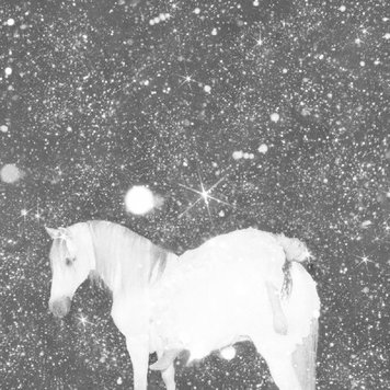 Black Lips - Apocalypse Love LP (violet vinyl)