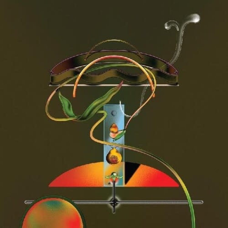 Wand - Spiders in the Rain 2LP