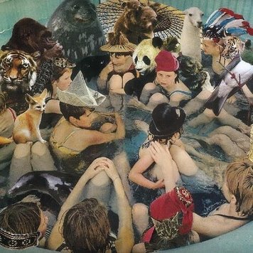 Domino Panda Bear - Person Pitch 2LP