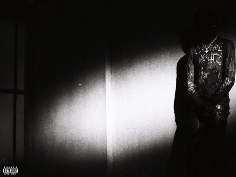 Interscope Destroy Lonely - No Stylist LP