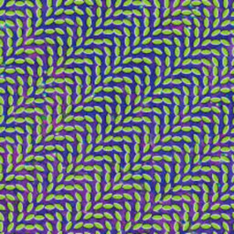 Animal Collective - Merriweather Post Pavilion 2LP