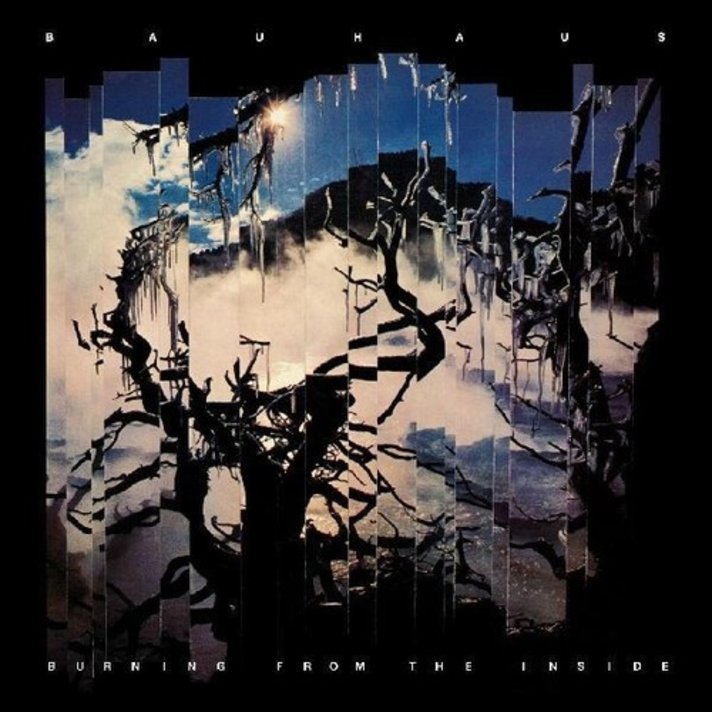 Bauhaus - In the Flat Field LP (remastered) - Wax Trax Records