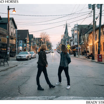 Vos & Wolff Dead Horses - Brady Street LP