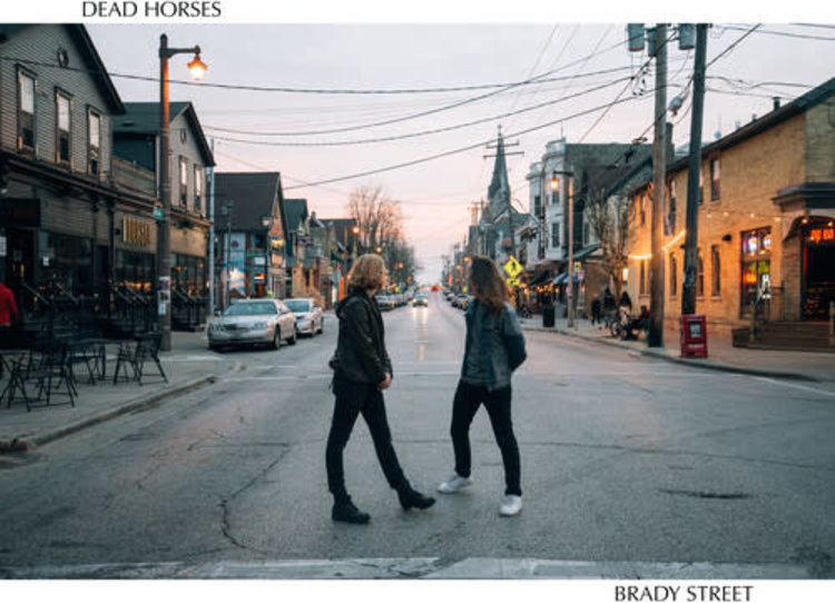 Vos & Wolff Dead Horses - Brady Street LP