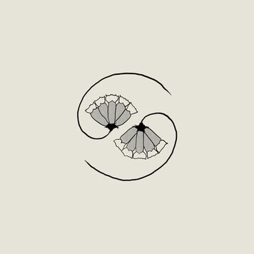 Constellation Godspeed You Black Emperor - G_d's Pee at State's End LP + 10" EP (180g)