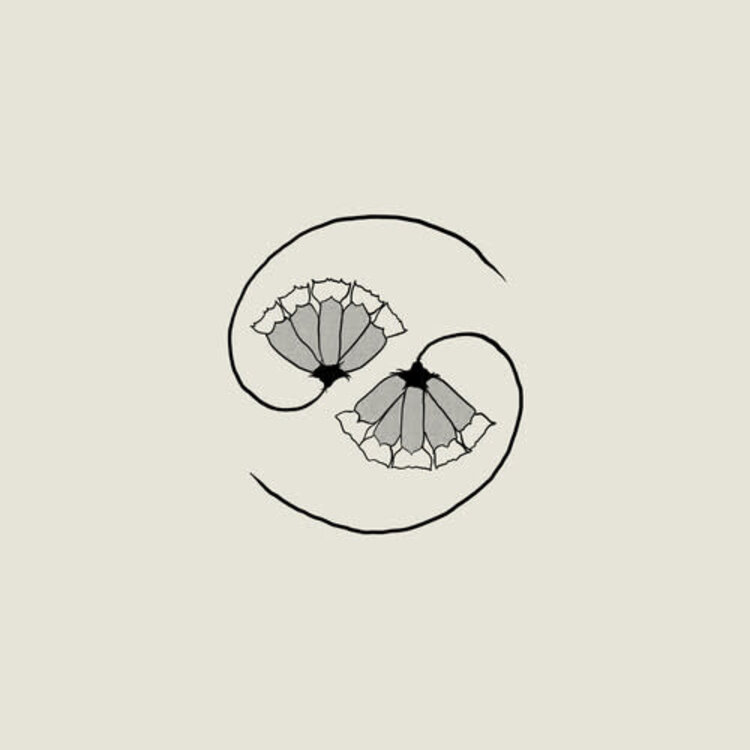 Constellation Godspeed You Black Emperor - G_d's Pee at State's End LP + 10" EP (180g)