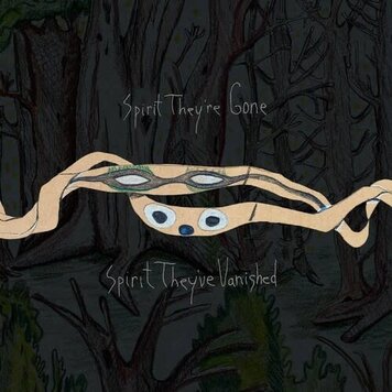 Animal Collective - Spirit They're Gone, Spirit The're Vanished 2LP (2023 remaster, green vinyl)