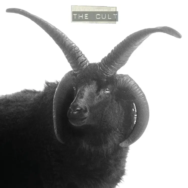Cult, The - (self-titled) 2LP
