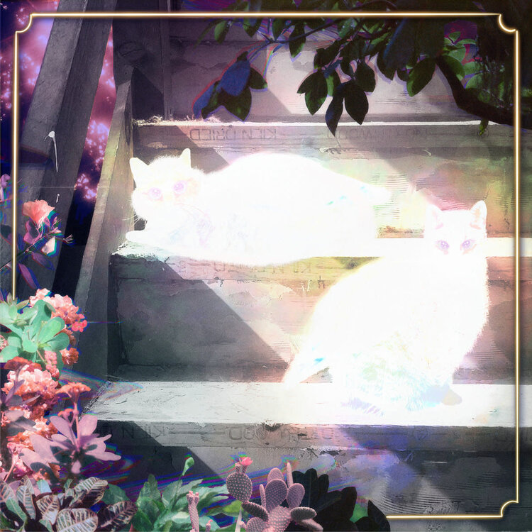 Oglio Records Scary Jokes, The - Retinal Bloom   LP (color vinyl)