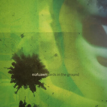 Numero Group Eiafuawn - Birds in the Ground LP
