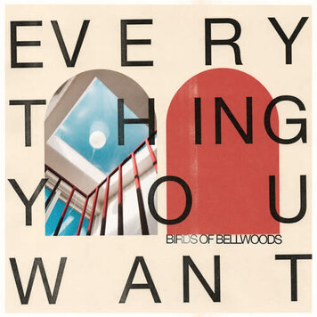 MNRK Birds of Bellwoods - Everything You Want LP (color vinyl 180g)