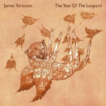 Yorkston, James - The Year of the Leopard 2LP