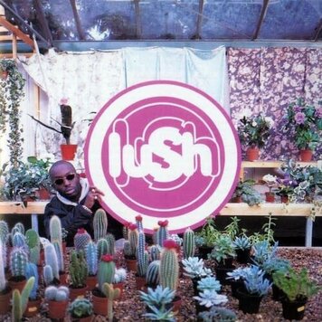 4AD Lush - Lovelife LP (clear vinyl)