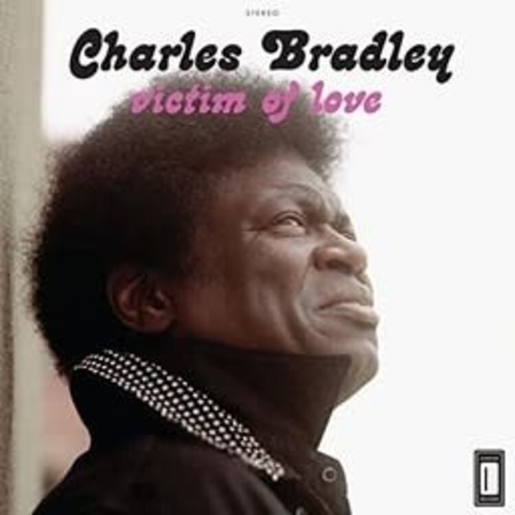 Daptone Bradley, Charles - Victim of Love LP