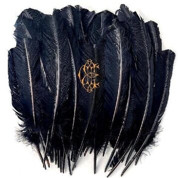 Sargent House Edwards, David Eugene - Hyacinth LP