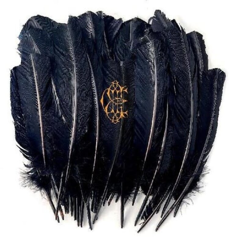 Sargent House Edwards, David Eugene - Hyacinth LP