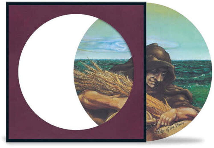 RBDO Grateful Dead - Wake of the Flood LP (picture disc)