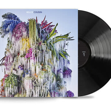 DBPM Records Wilco - Cousin LP (150g)