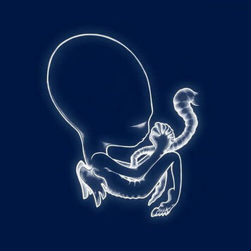 Krunk Sigur Ros - Agaetis Byrjun 2LP