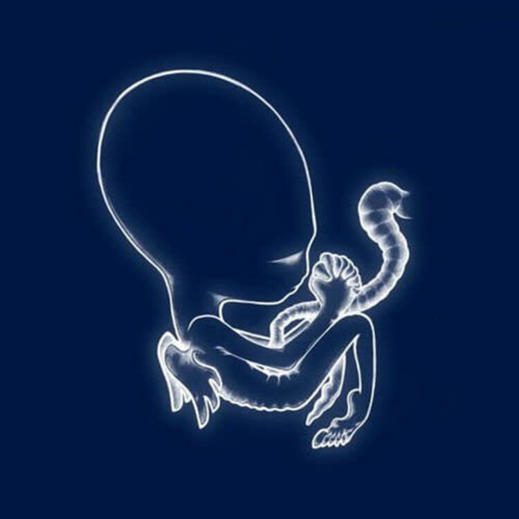 Krunk Sigur Ros - Agaetis Byrjun 2LP