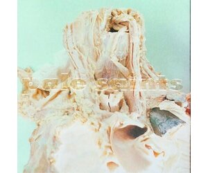 Pale Saints - In Ribbons LP (30th anniv.) - Wax Trax Records