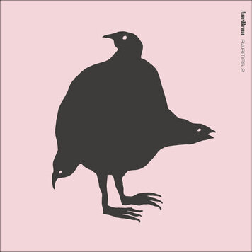 Ballon Ranger Brun, Ane - Rarities 2 LP (180g)