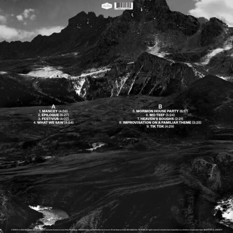 Loma Vista Bird, Andrew - Outside Problems LP