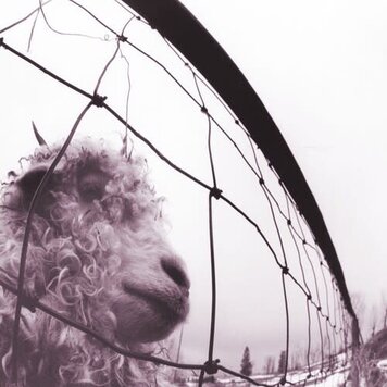 Sony/Legacy Pearl Jam - Vs. 2LP (30th anniv.)