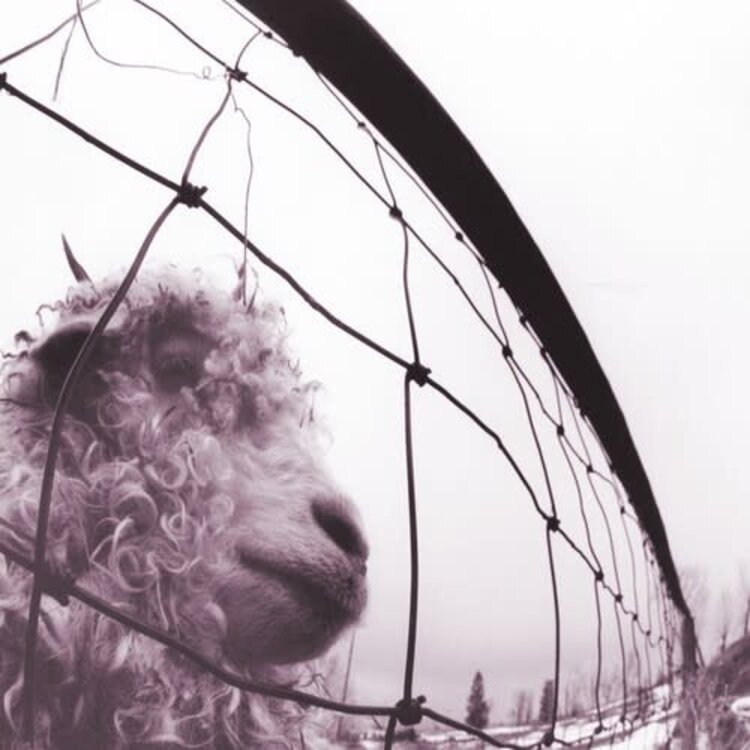 Sony/Legacy Pearl Jam - Vs. 2LP (30th anniv.)