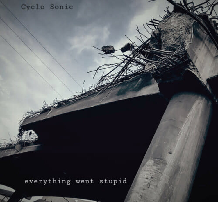 Cyclo Sonic - Everything Went Stupid LP