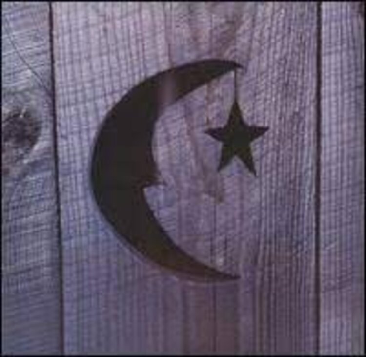 JEMP Phish - Farmhouse LP (color vinyl)