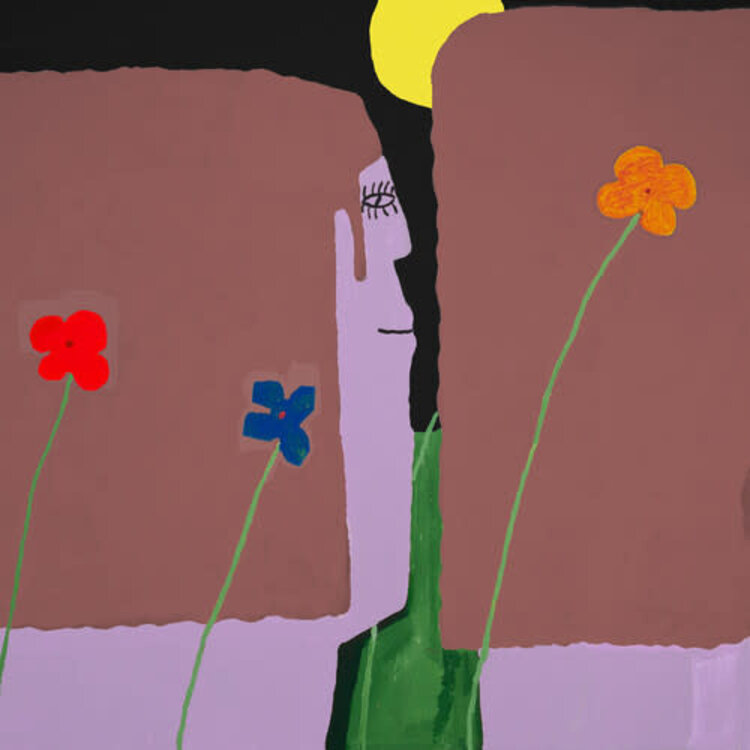 Anti Slow Pulp - Yard LP (color vinyl)