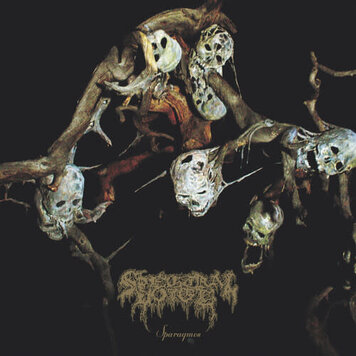 Dark Descent Spectral Voice - Sparagmos LP