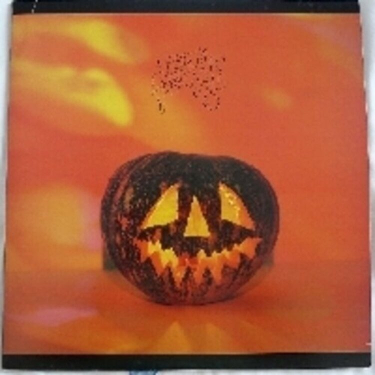 Sonic Youth - Walls Have Ears 2LP