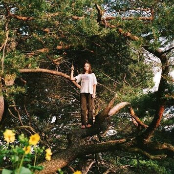 Packs - Melt the Honey LP (gold vinyl)