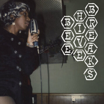 洋楽 Basement Beehive GIRL GROUP UNDERGROUND Various Artists-Basement Beehive: The Girl Group Underground