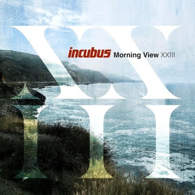 Virgin Records US Incubus - Morning View XXIII 2LP (180g)