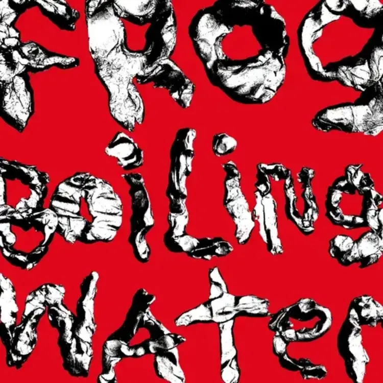 Fantasy DIIV -  Frog In Boiling Water LP (green vinyl)